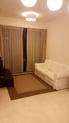 One Oxley Rise (D9), Apartment #353675451